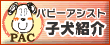 �p�s�[�A�V�X�g�q���Љ�