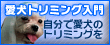 ����ʎ���g���}�[