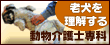 �y�b�g���