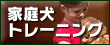 �ƒ댢�g���[�j���O