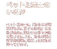 �y�b�g�̔��m�̂���X