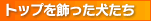 �g�b�v��������������