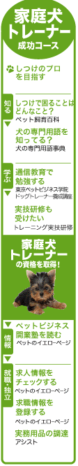 �ƒ댢�g���[�i�[�����R�[�X