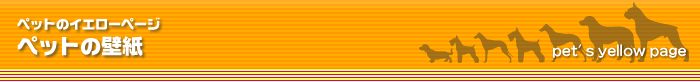 �y�b�g�̕ǎ�
