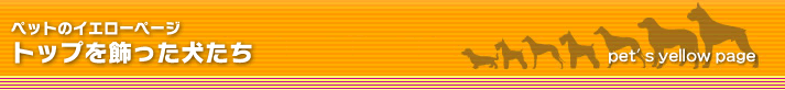 �g�b�v��������������