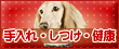 ybg̃CG[y[WEybgS