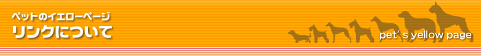 Nɂ